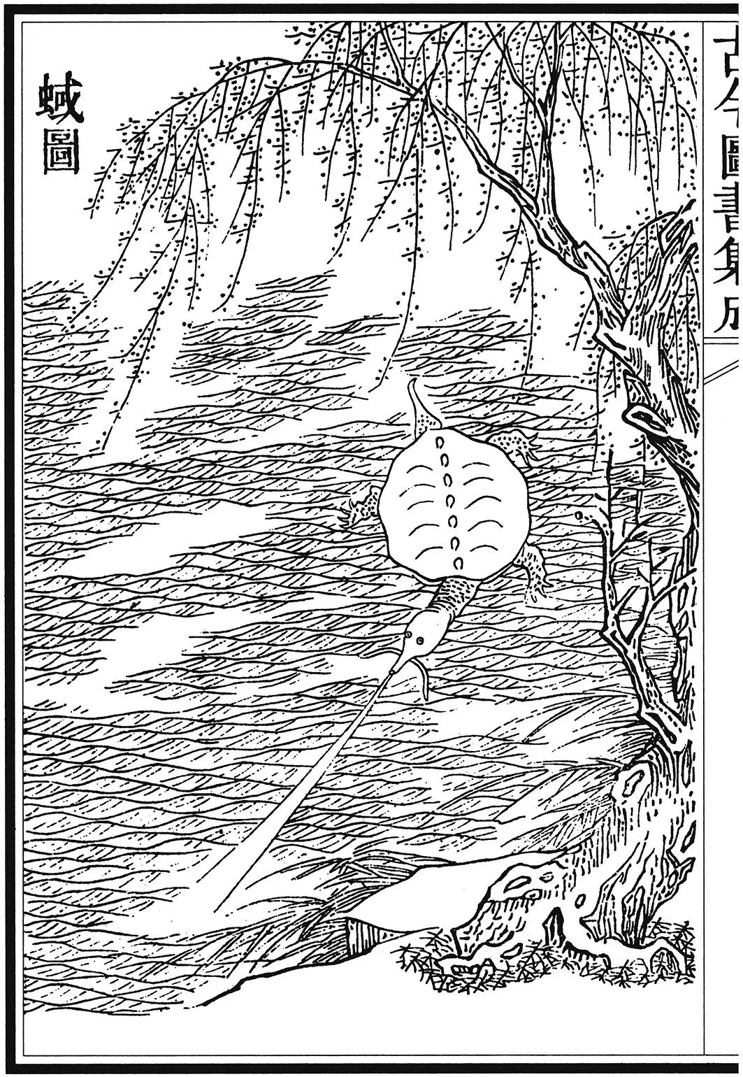 TRADITIONOW / 起承文化