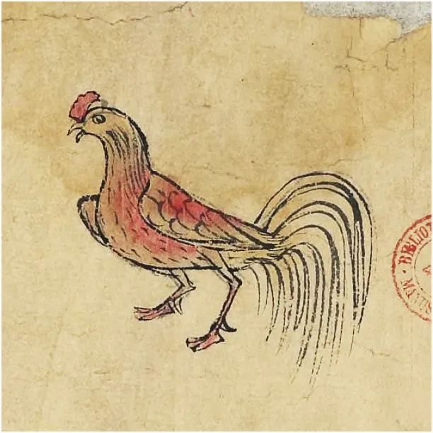 TRADITIONOW / 起承文化