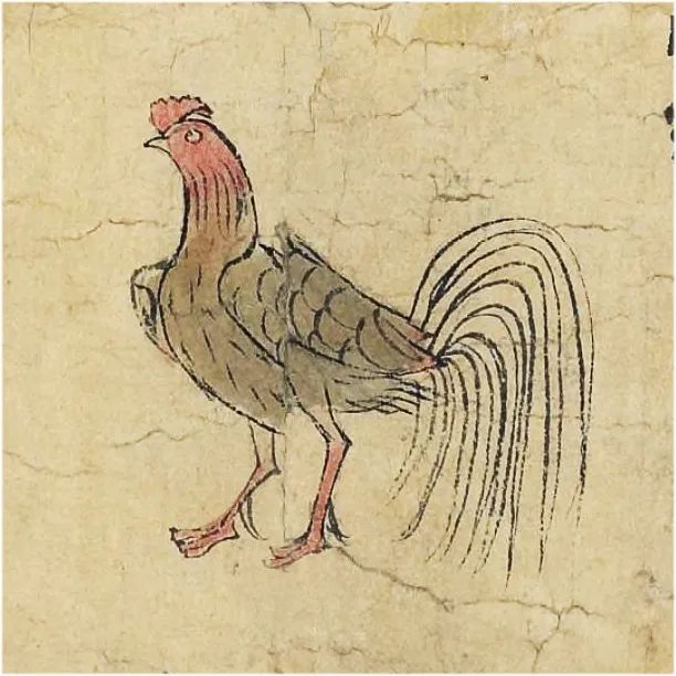 TRADITIONOW / 起承文化